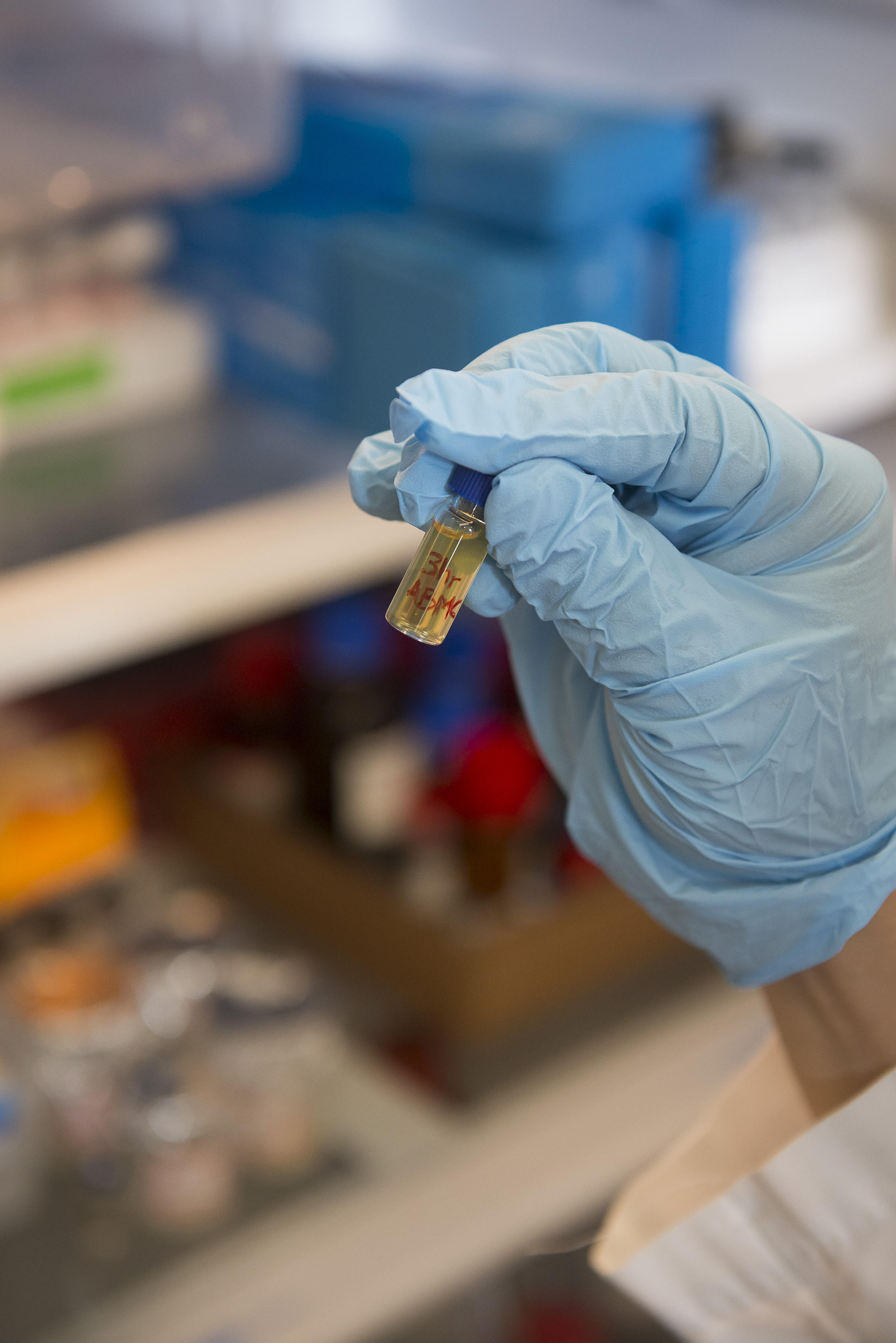 Master of Science in Chemical Engineering : Riccio College of ...
