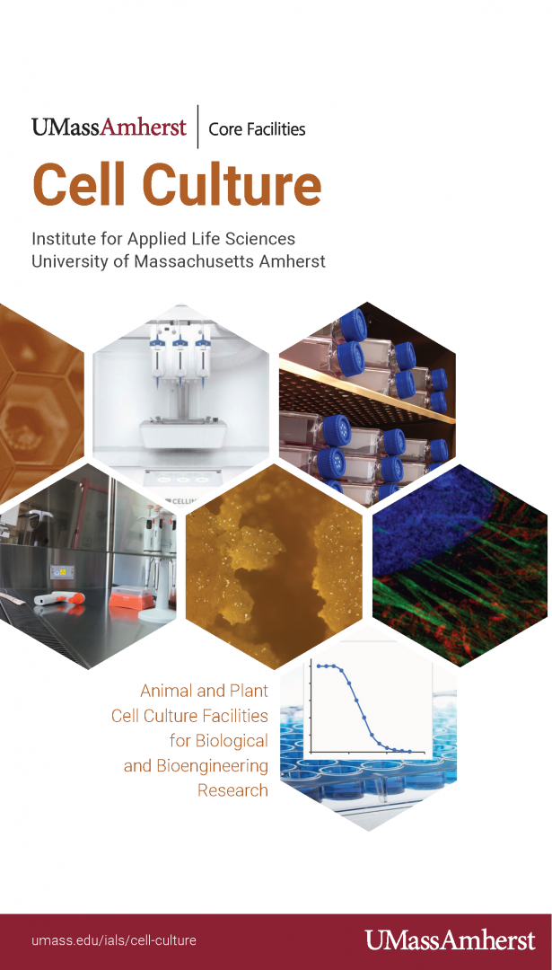 Cell Culture Brochure