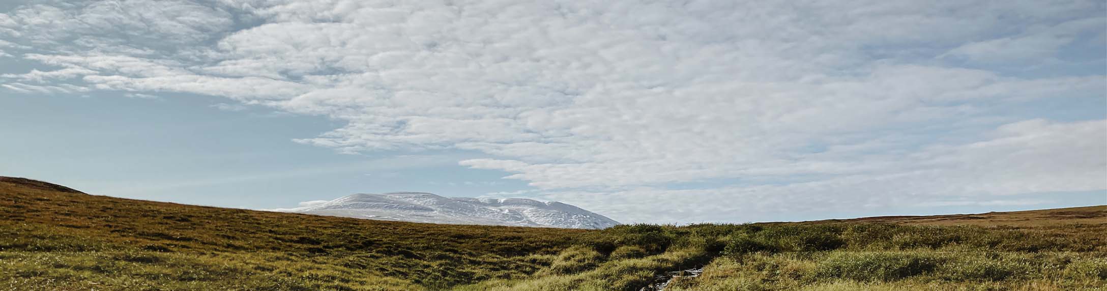 Barren arctic landscape of grass and snowy mountains.