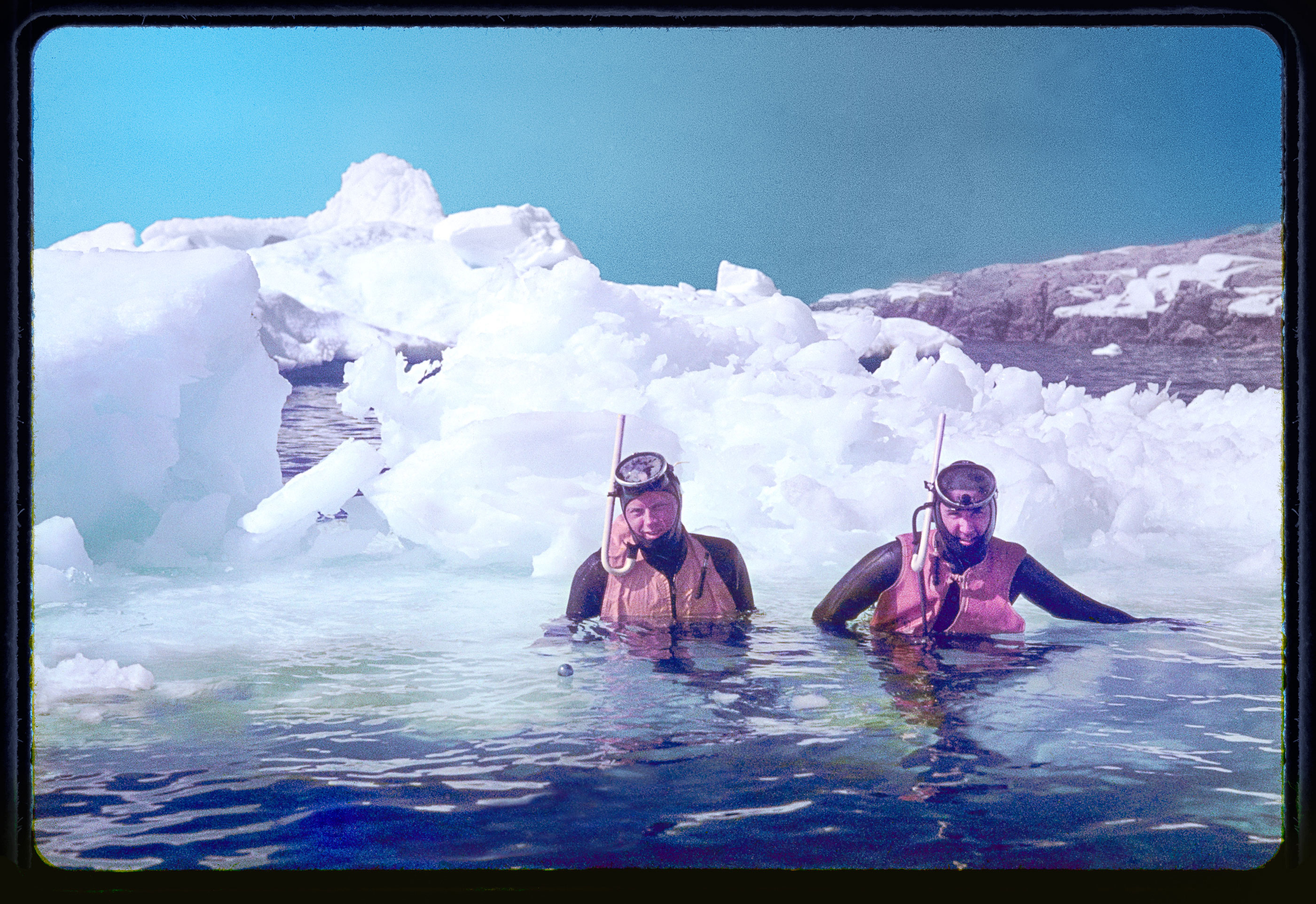 Robert Wilce scuba dives in arctic waters in an archival photograph.