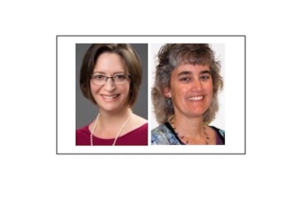 Two UMass Amherst Professors Elected as Fellows to the American Association for the Advancement of Science - Vimarsana News