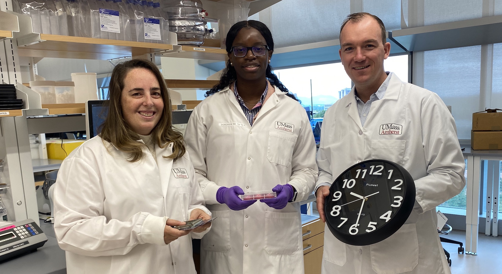 The Clock is Ticking: University of Massachusetts Amherst Researcher to Investigate the Role of Circadian Rhythms in Tissue Engineering