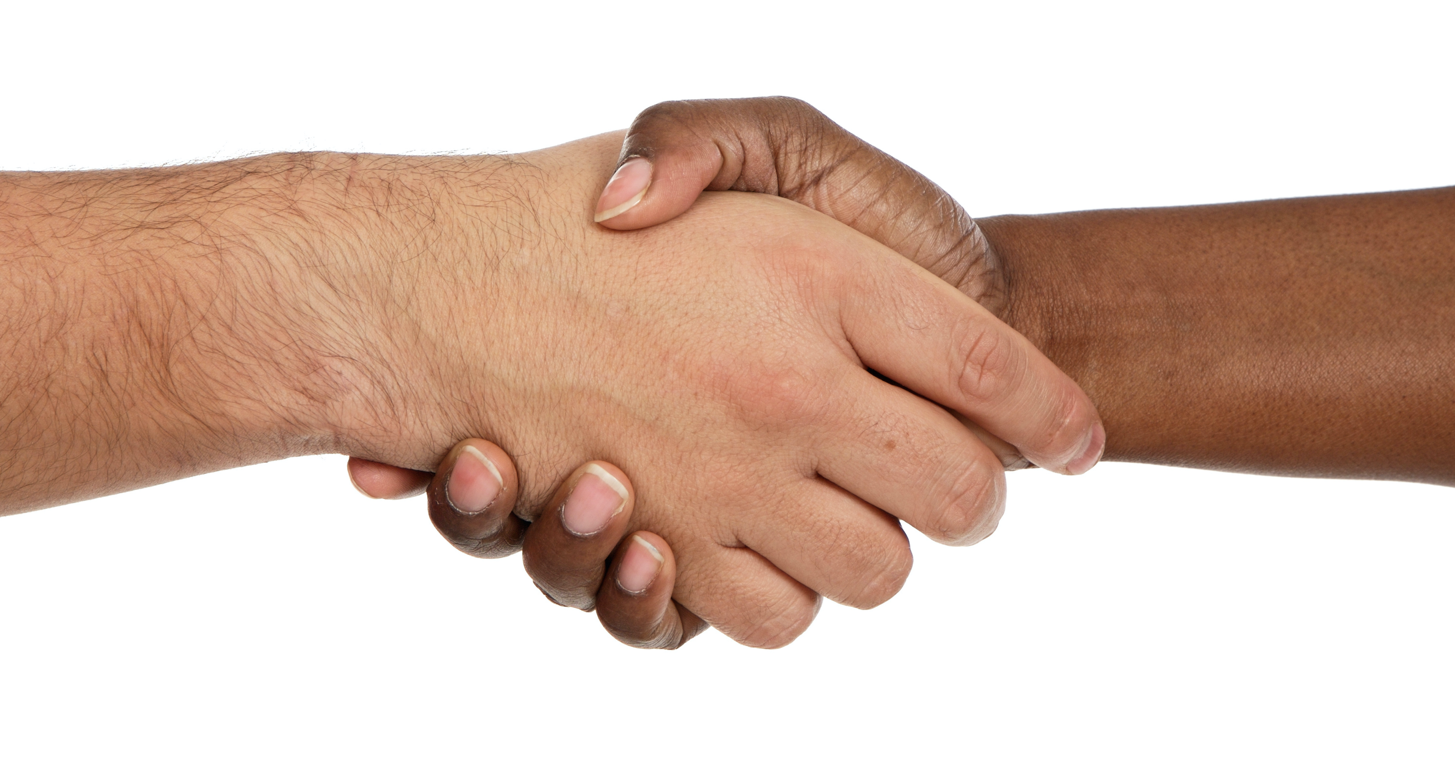 Human Resources Launches Optimized System to Strengthen Employee Recruitment