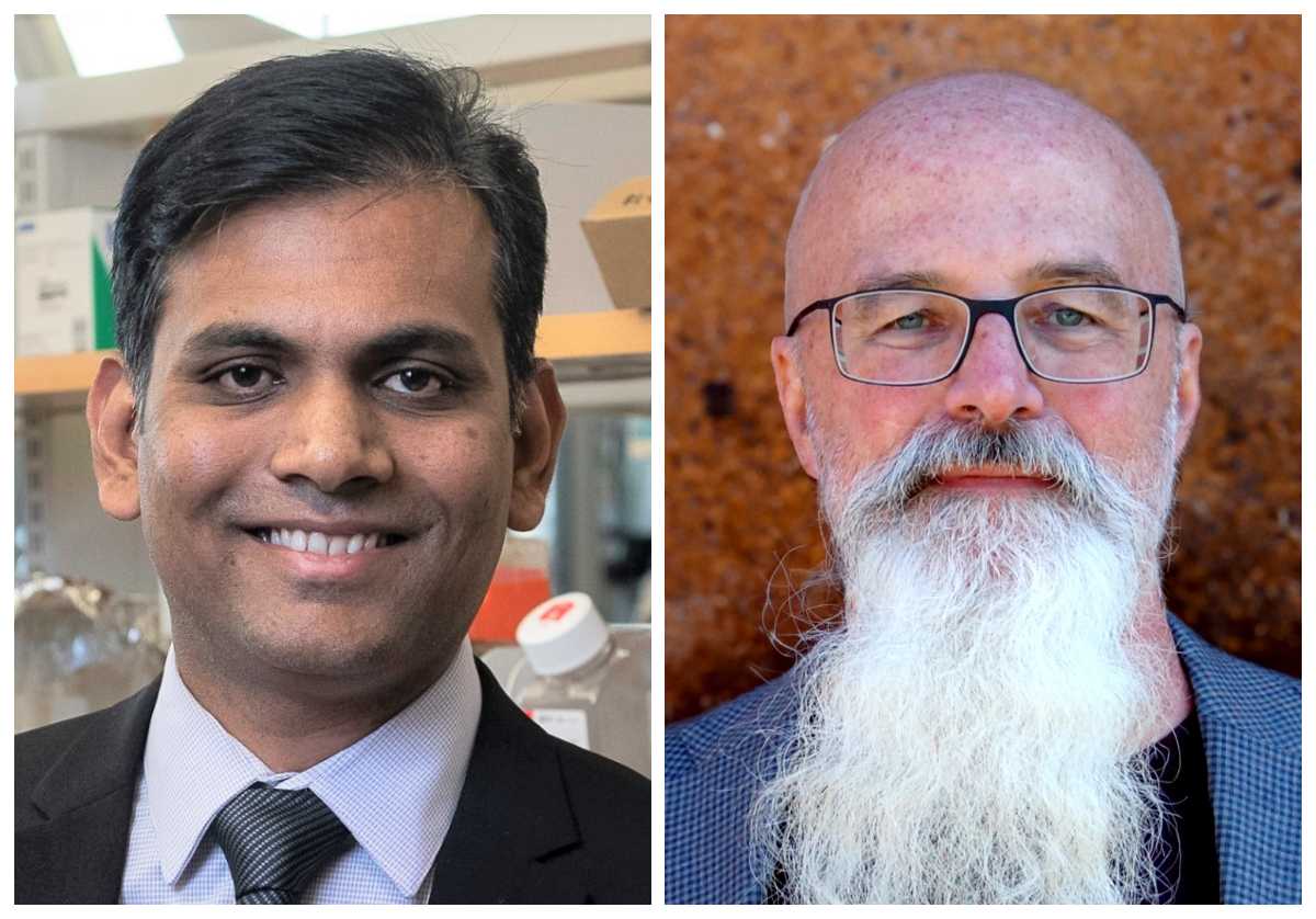 Kulkarni, Rotello Inducted into American Institute for Medical and Biological Engineering